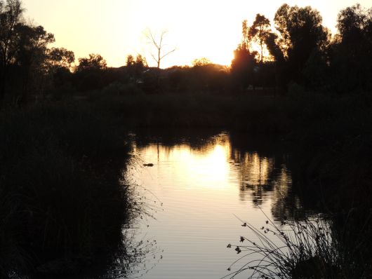 Sunrise in the wetlands